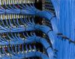 networking-services